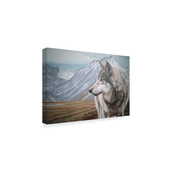 Ron Parker 'Distant Mountains' Canvas Art,30x47